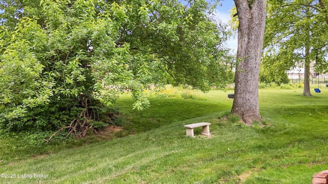 14312 Micawber Way, Louisville, KY 40245 - view of green lawn