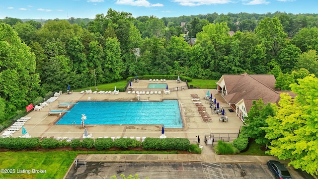 5121 Oaklawn Park Dr, Louisville, KY 40299 - bird's eye view of a pool area and a forest