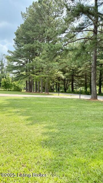 187 Glenn Rd, Leitchfield, KY 42754 - view of grassy yard
