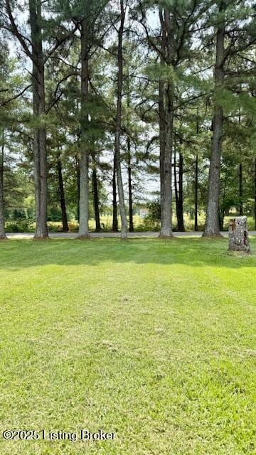 187 Glenn Rd, Leitchfield, KY 42754 - view of grassy yard