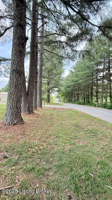 187 Glenn Rd, Leitchfield, KY 42754 - view of yard
