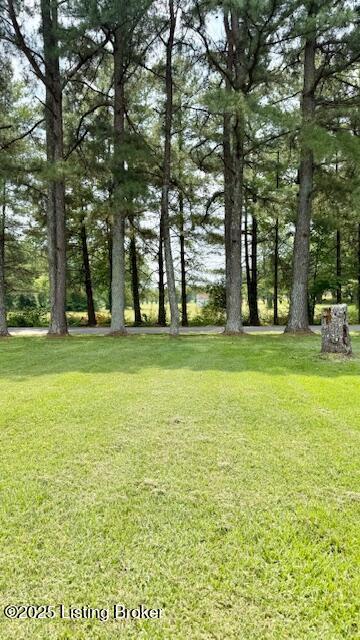 187 Glenn Rd, Leitchfield, KY 42754 - view of grassy yard