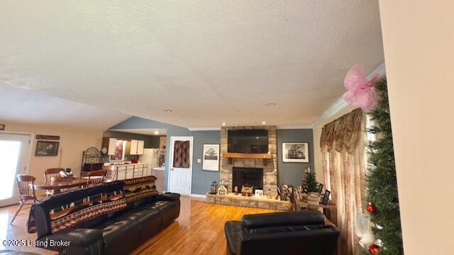 187 Glenn Rd, Leitchfield, KY 42754 - living room with wood finished floors and a fireplace