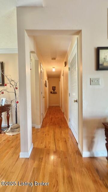 187 Glenn Rd, Leitchfield, KY 42754 - hallway with light wood-style floors and baseboards