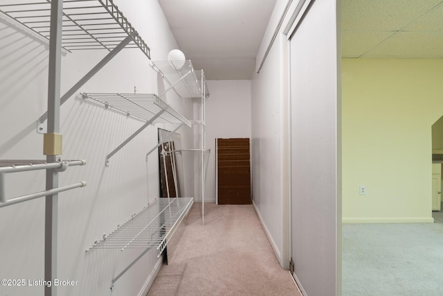 6800 Beard Ct, Louisville, KY 40228 - walk in closet featuring carpet floors