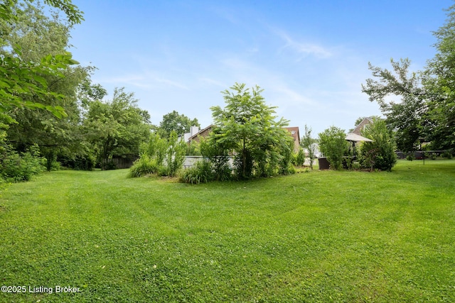 6800 Beard Ct, Louisville, KY 40228 - view of green lawn