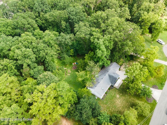 3003 Coffee Tree Ct, Crestwood, KY 40014 - photo 37