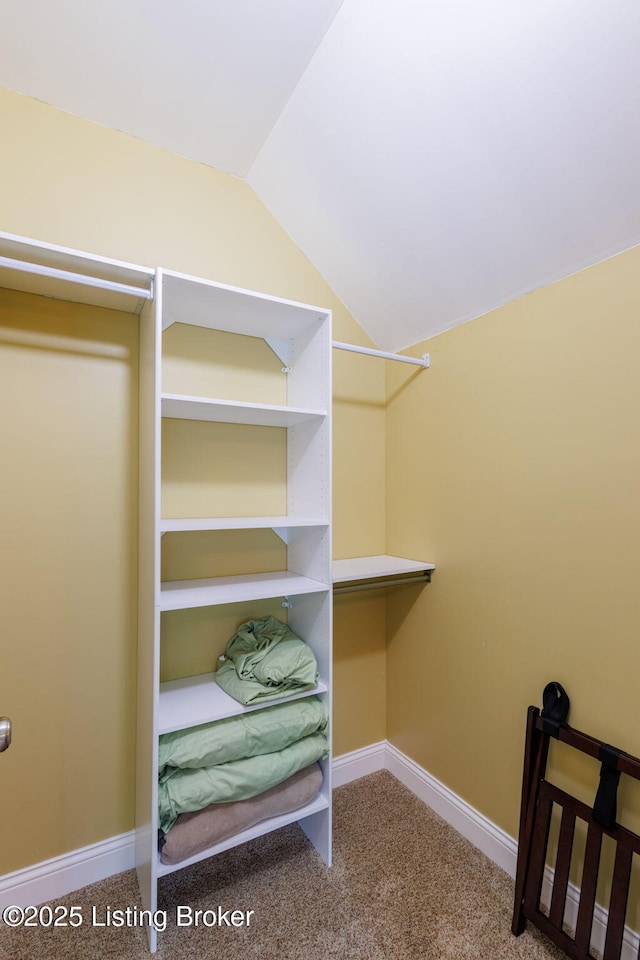 4225 Pleasant Glen Dr, Louisville, KY 40299 - walk in closet with lofted ceiling and carpet flooring