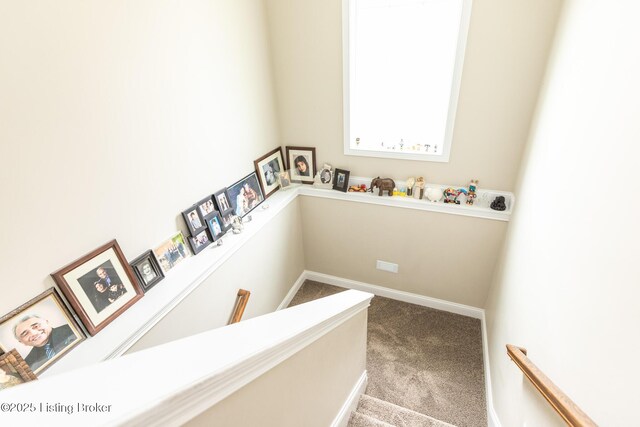 901 Leafland Pl, Elizabethtown, KY 42701 - photo 37