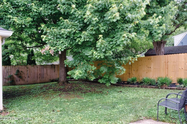 2417 Meadow Rd, Seneca Gardens, KY 40205 - view of yard