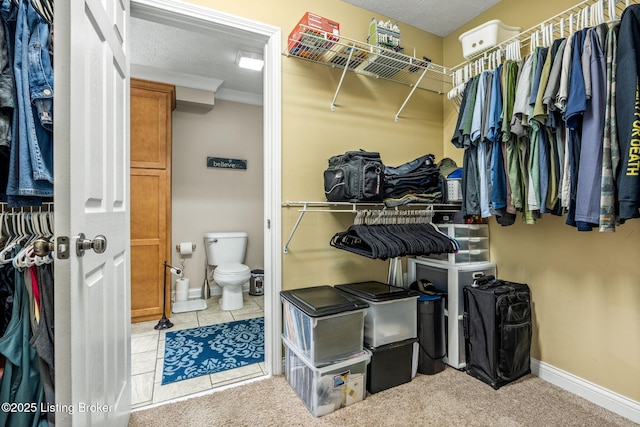 111 Emory Ct, Bardstown, KY 40004 - view of walk in closet