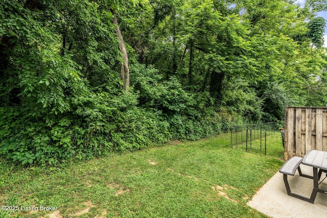 111 Emory Ct, Bardstown, KY 40004 - view of yard