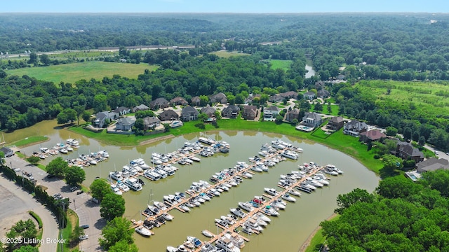 5404 River Creek Ct, Prospect, KY 40059 - aerial view of a marina and a large body of water