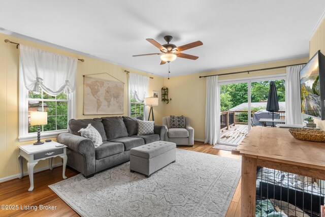 7401 Maria Ave, Louisville, KY 40222 - living area featuring ceiling fan, plenty of natural light, light wood-style floors, and crown molding