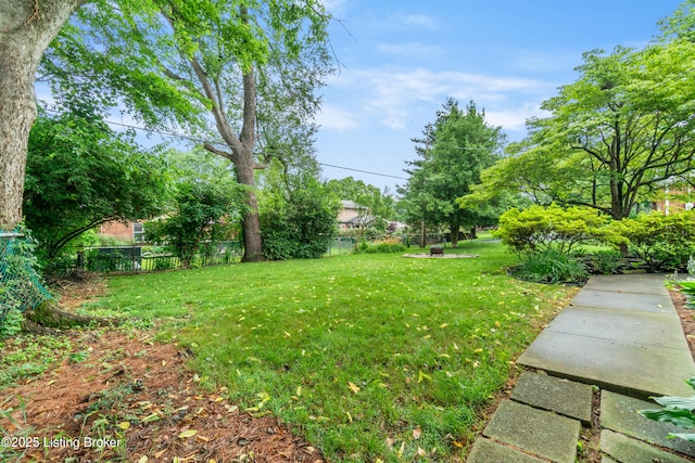 7401 Maria Ave, Louisville, KY 40222 - view of yard