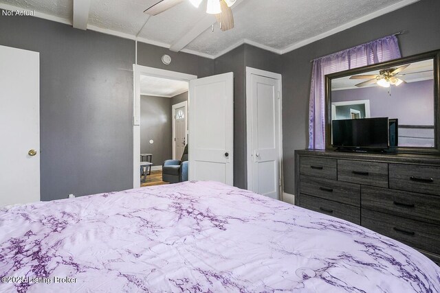 407 Gernert Ct, Louisville, KY 40217 - photo 21