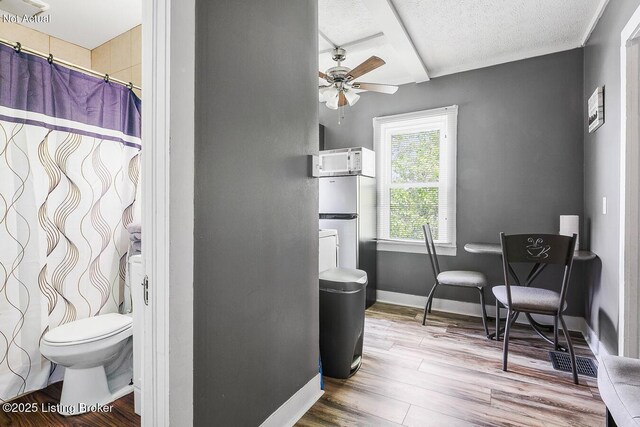 407 Gernert Ct, Louisville, KY 40217 - photo 24