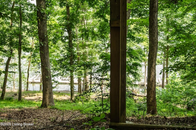 52 Lakeshore Cir, Leitchfield, KY 42754 - view of nature featuring a nearby body of water