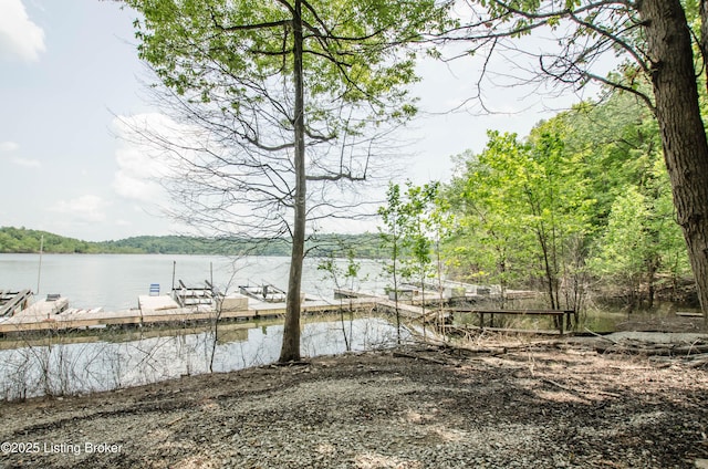 52 Lakeshore Cir, Leitchfield, KY 42754 - dock featuring a water view and a wooded view