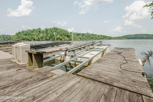 52 Lakeshore Cir, Leitchfield, KY 42754 - dock with a water view and a wooded view