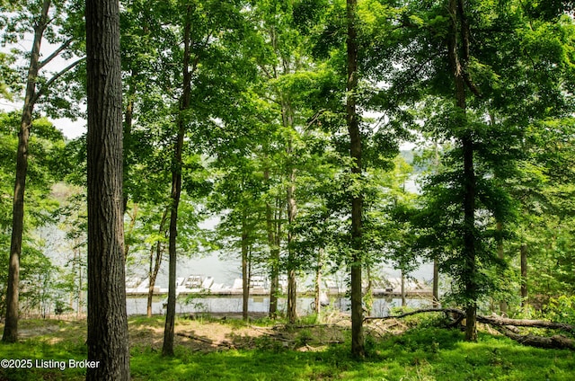 52 Lakeshore Cir, Leitchfield, KY 42754 - water view