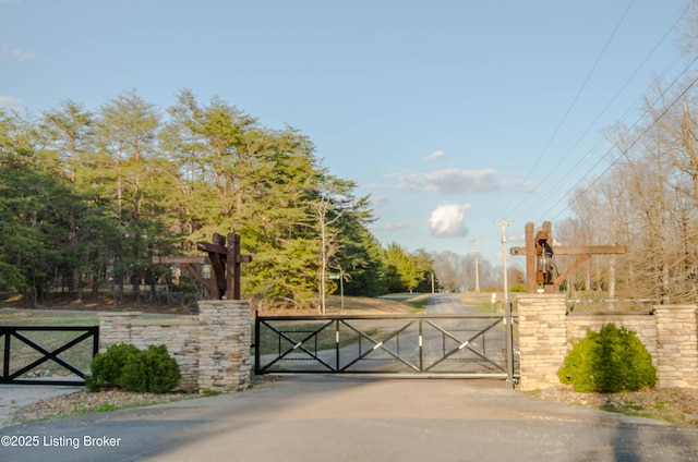 52 Lakeshore Cir, Leitchfield, KY 42754 - view of gate