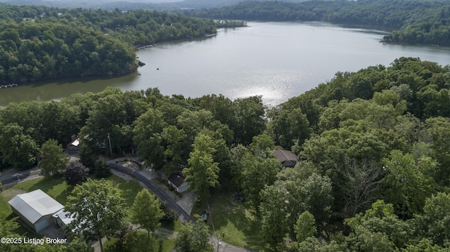 52 Lakeshore Cir, Leitchfield, KY 42754 - bird's eye view of a forest and a nearby body of water