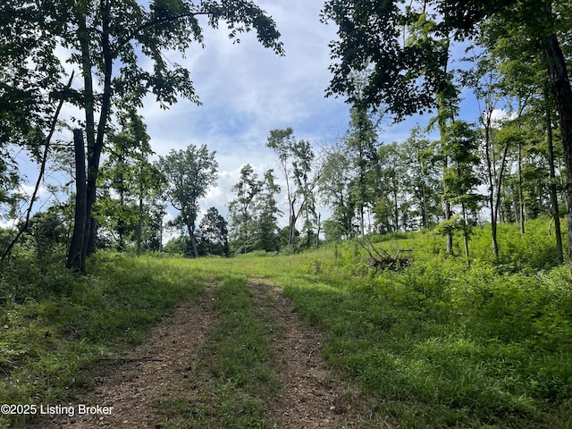 7225 Owensboro Rd, Leitchfield, KY 42754