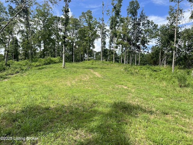 7225 Owensboro Rd, Leitchfield, KY 42754