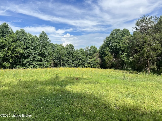 7225 Owensboro Rd, Leitchfield, KY 42754