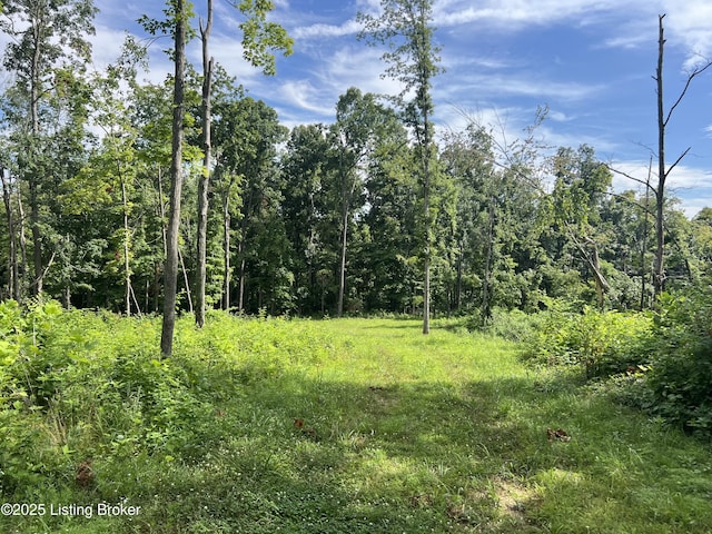 7225 Owensboro Rd, Leitchfield, KY 42754