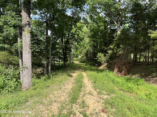 7225 Owensboro Rd, Leitchfield, KY 42754