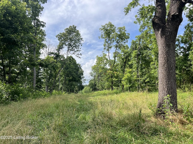 7225 Owensboro Rd, Leitchfield, KY 42754