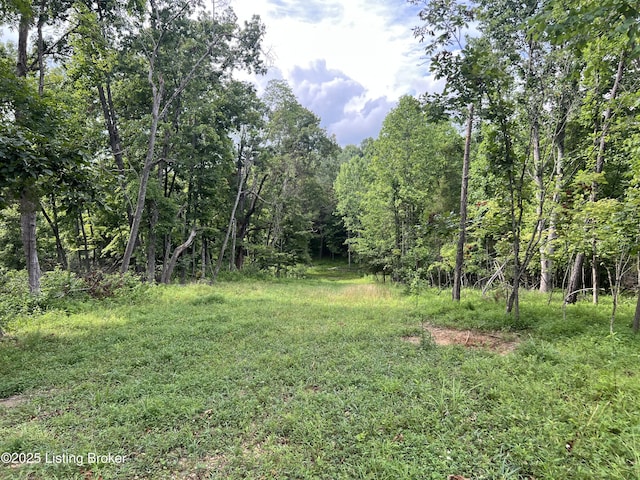 7225 Owensboro Rd, Leitchfield, KY 42754