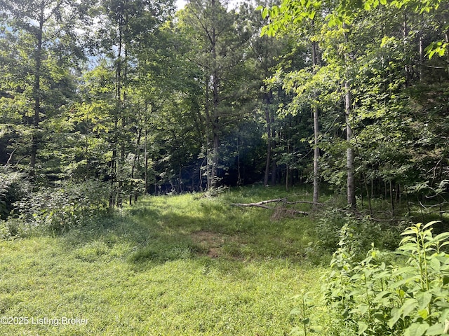 7225 Owensboro Rd, Leitchfield, KY 42754