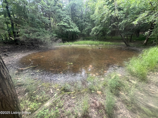 7225 Owensboro Rd, Leitchfield, KY 42754