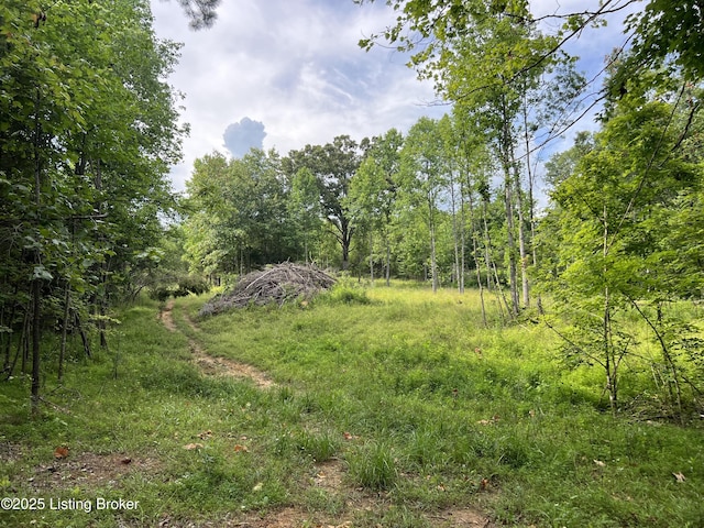 7225 Owensboro Rd, Leitchfield, KY 42754