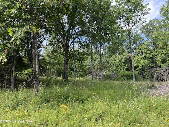 7225 Owensboro Rd, Leitchfield, KY 42754
