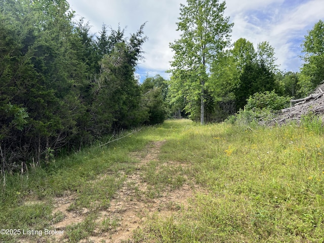7225 Owensboro Rd, Leitchfield, KY 42754