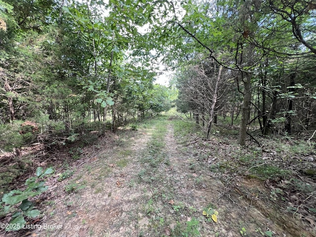 7225 Owensboro Rd, Leitchfield, KY 42754