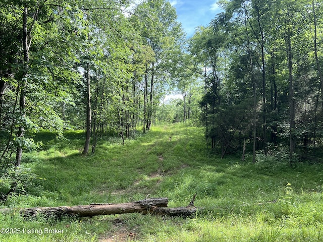 7225 Owensboro Rd, Leitchfield, KY 42754