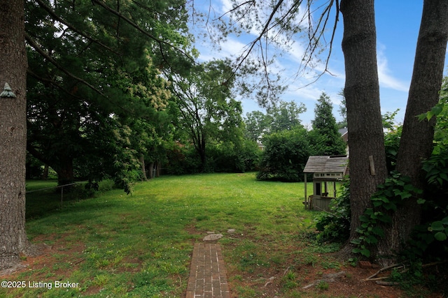 213 Barberry Ln, Lexington, KY 40503 - view of yard