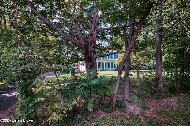 4893 N Preston Way, Shepherdsville, KY 40165 - view of yard