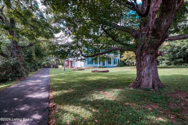 4893 N Preston Way, Shepherdsville, KY 40165 - view of front of property with a front lawn