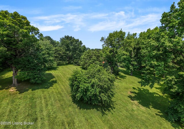 4509 Naneen Dr, Louisville, KY 40216 - photo 8