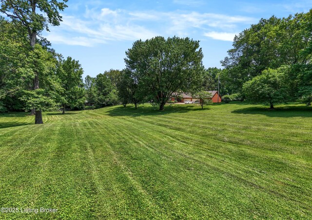 4509 Naneen Dr, Louisville, KY 40216 - photo 9
