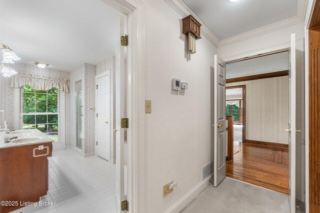 4509 Naneen Dr, Louisville, KY 40216 - photo 49