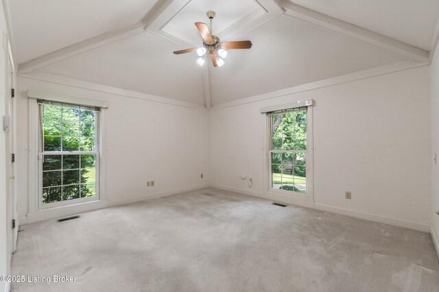 4509 Naneen Dr, Louisville, KY 40216 - photo 55
