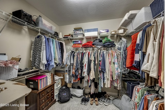 895 Woodlawn Rd Unit 3, Bardstown, KY 40004 - spacious closet featuring carpet flooring