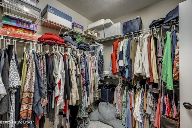 895 Woodlawn Rd Unit 3, Bardstown, KY 40004 - view of walk in closet